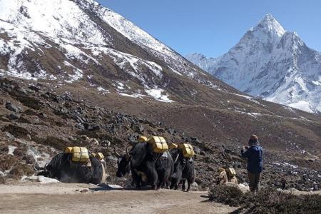 エベレストベースキャンプトレッキング 詳細解説