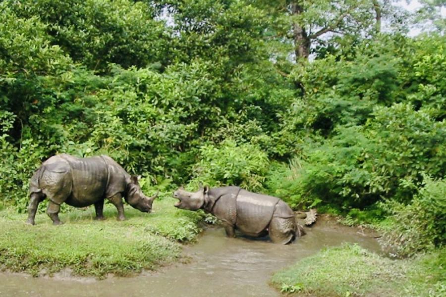 チトワン国立公園ツアー