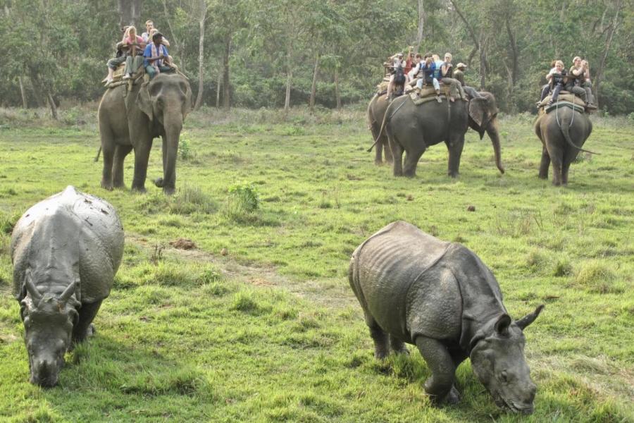 カトマンズーチトワンーポカラツアー９日間