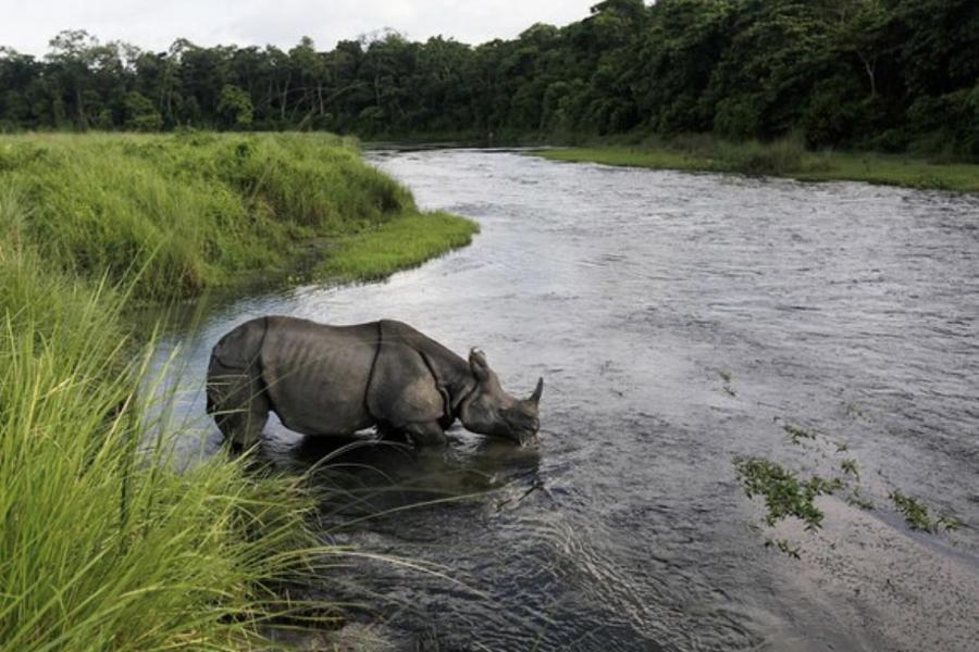 カトマンズーチトワンーポカラツアー９日間
